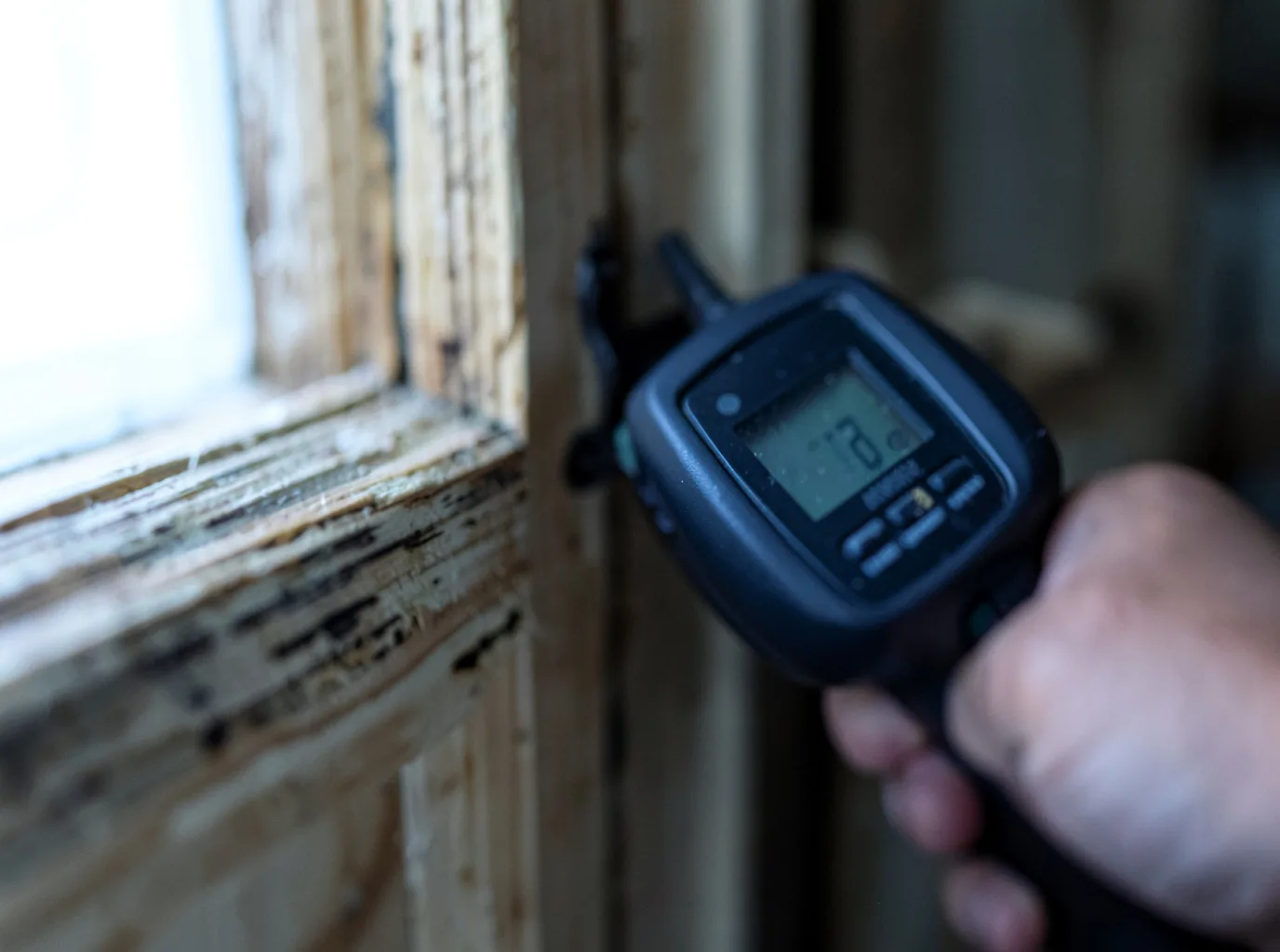 Moisture Inspection And Documentation in Chapman, KS